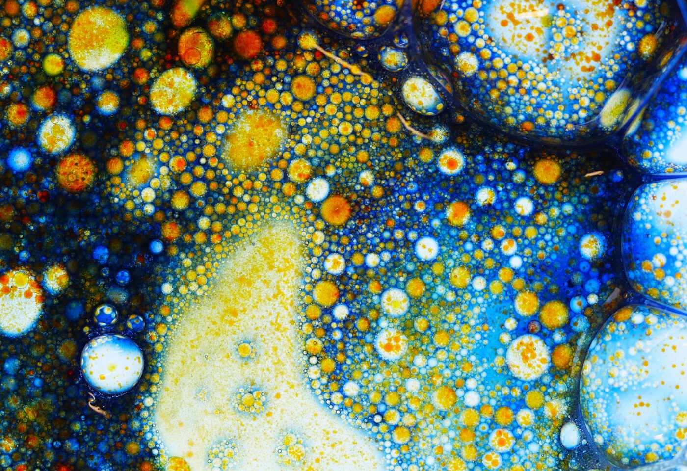 CWF Energy Innovation Brief 33